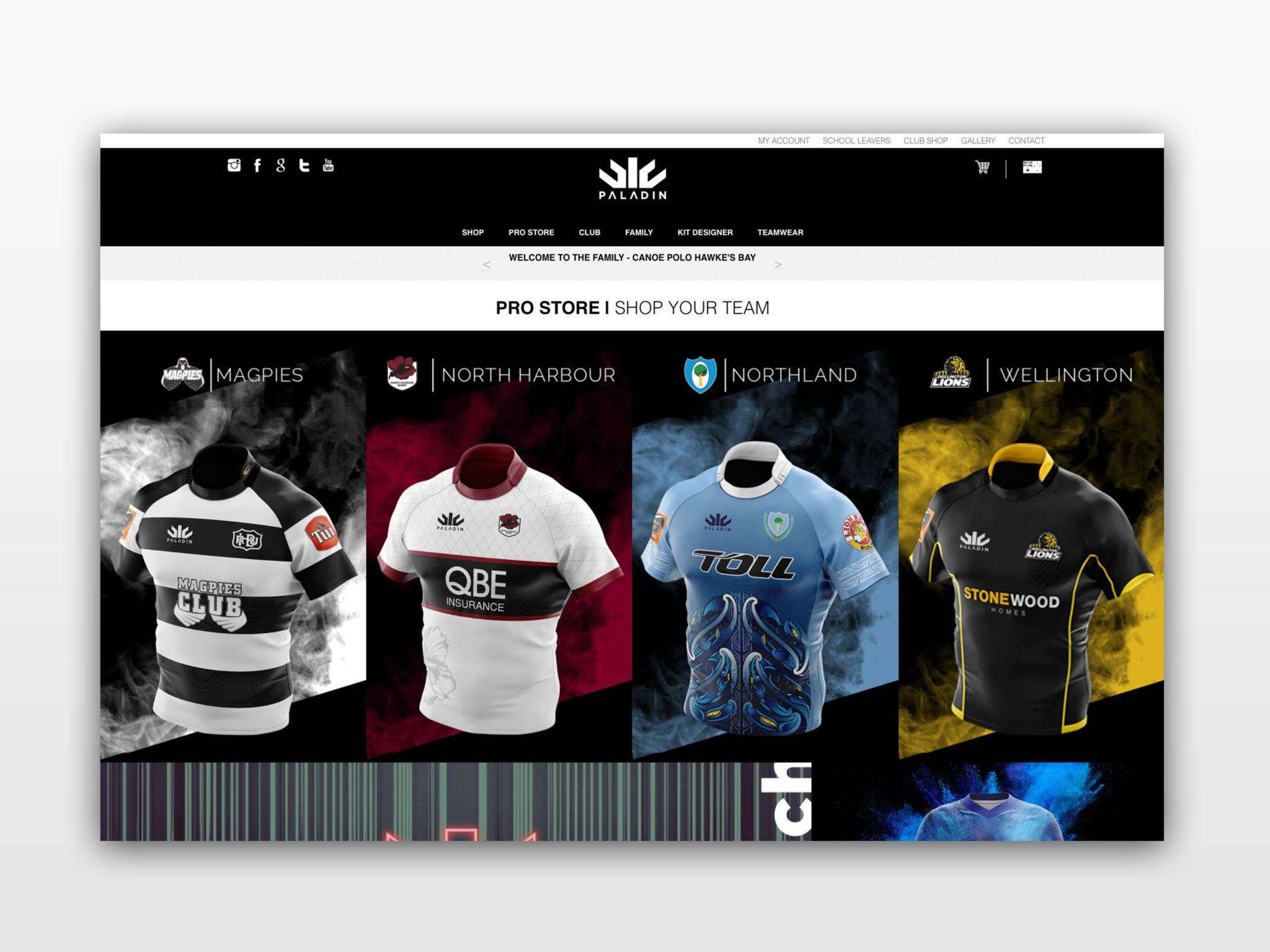 Paladin Sports Shopify website
